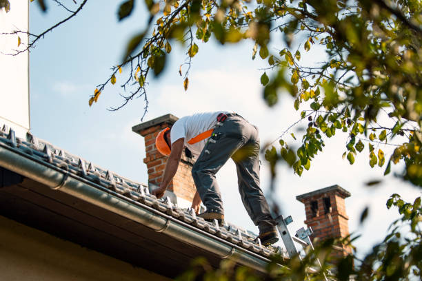 Best Best Roofing Contractors  in Lineville, AL