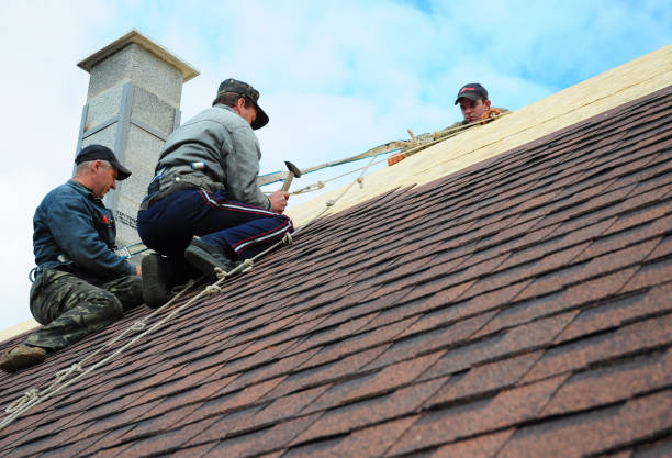 Gutter Installation and Roofing in Lineville, AL