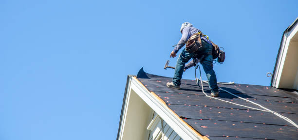 Best Storm Damage Roof Repair  in Lineville, AL